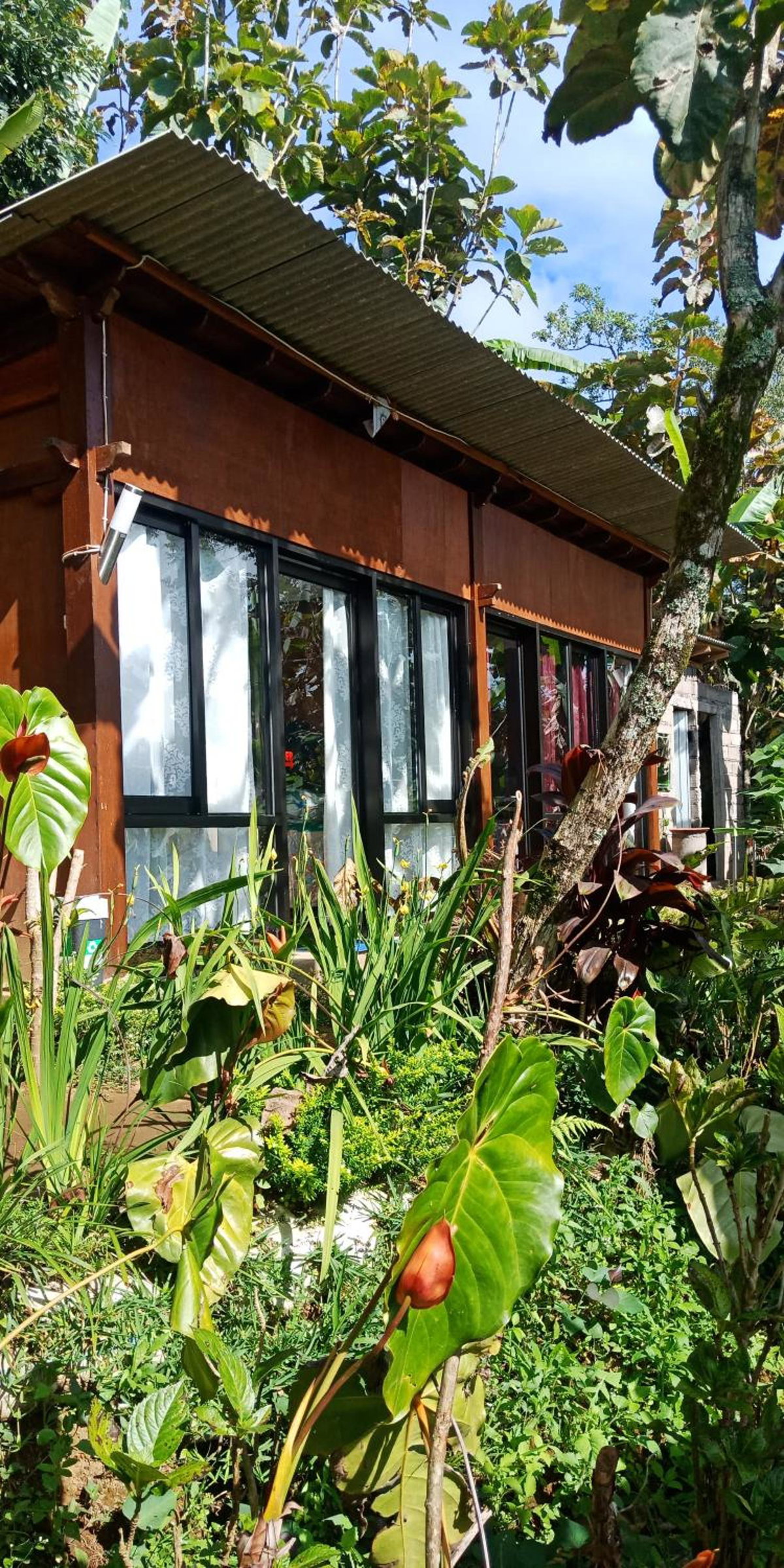 jungleadventure cabin camping, Indonesia