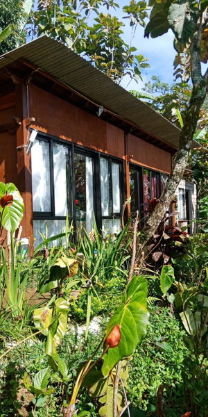jungleadventure cabin camping, Singaraja, Indonesia