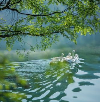 Wonderland Resort, Hangzhou Jiande, A Tribute Portfolio Resort, Hangzhou, 中国