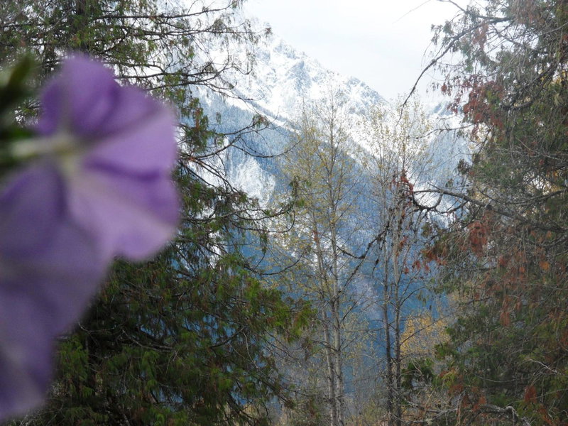 The Hitching Post Motel, Pemberton, Canada