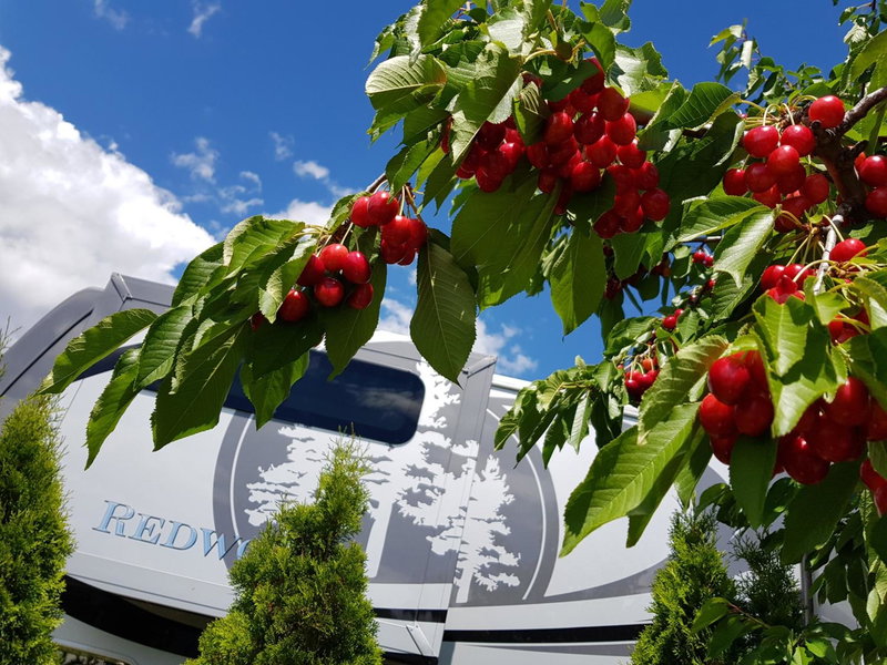The Orchard at Oliver, Oliver, Канада