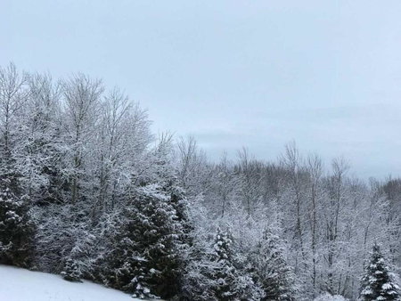Our Valley View Bed & Breakfast, Hampton, Canada