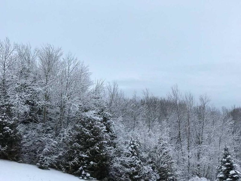 Our Valley View Bed & Breakfast, Hampton, Canada