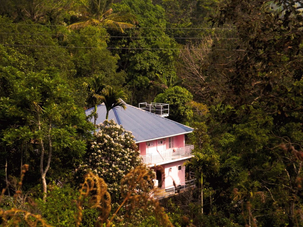 Drizzle Valley Cottage, India