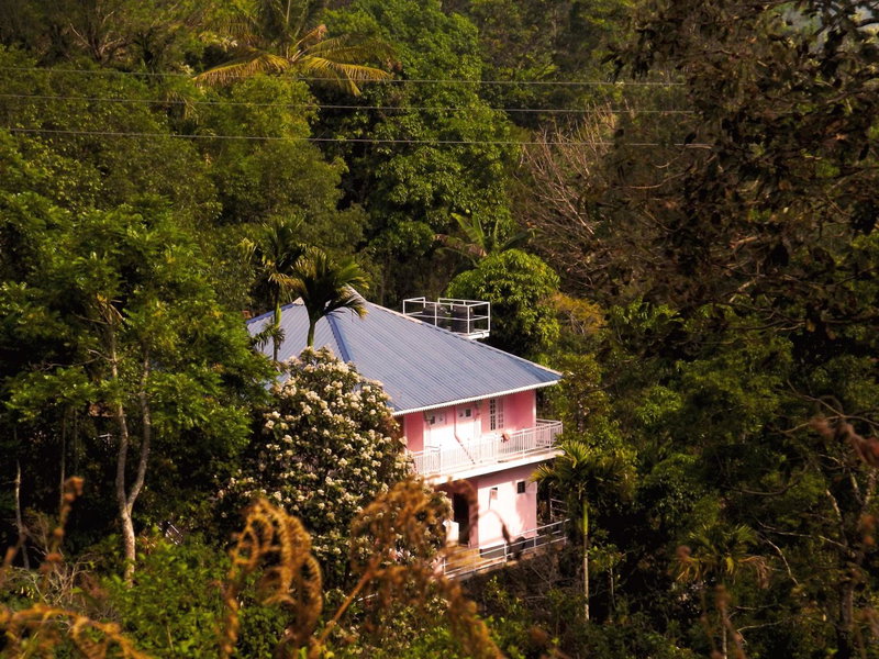 Drizzle Valley Cottage, Munnar, India