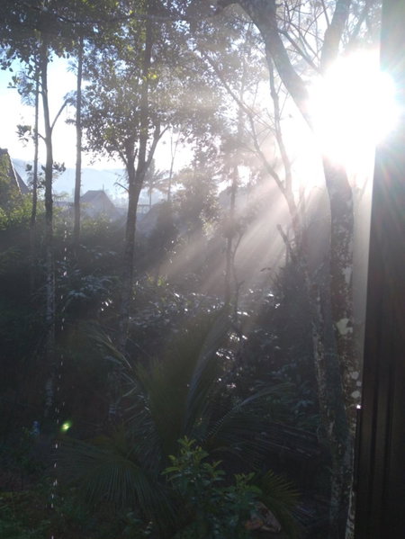 WinterHome homestay, Munnar, India