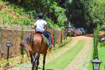 Ibex Resorts, Coonoor Leewood, Coonoor, India