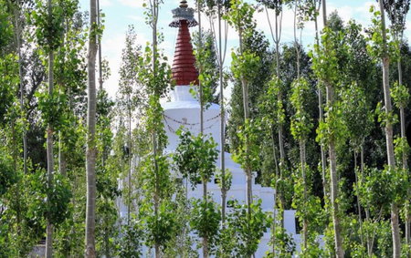 Gomang Boutique Hotel, Leh, India