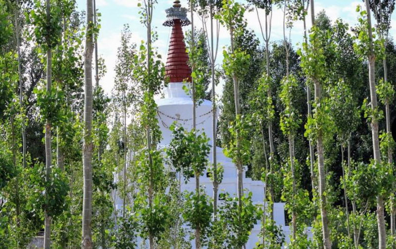Gomang Boutique Hotel, Leh, India