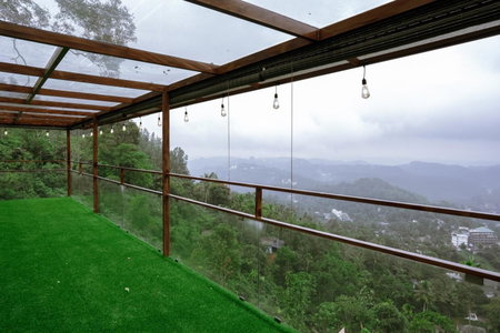 Misty Wonders, Munnar, India