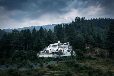 Tree of Life Eila Art Hotel, Manali, Nagar, India
