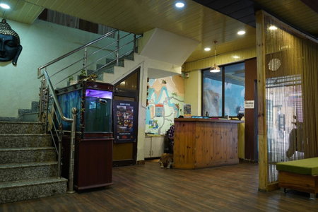 Hotel The Mountain View, Rishīkesh, India