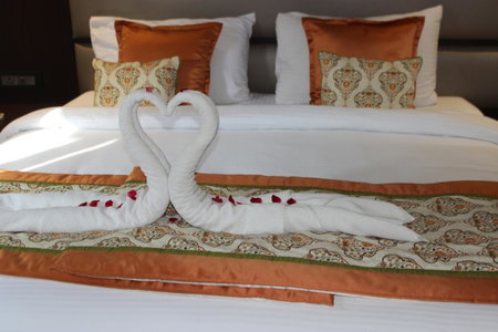 Ramya Resort & Spa, Dakan Kotra, India
