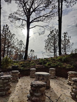 Chillaru Resort, Solan, India