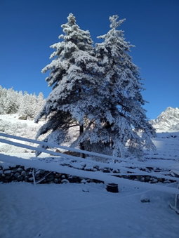 Baspa Valley Adventure Camp, Saturang, India