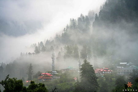 Zostel Pulga, Pulga, India