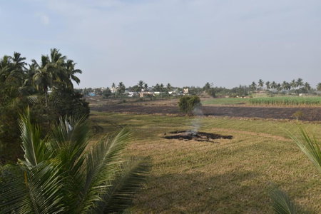 Coconut Homestay Hampi, Hampi, India