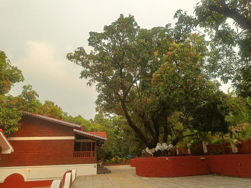Shantadurga Beachside Homestay, Guhagar, India