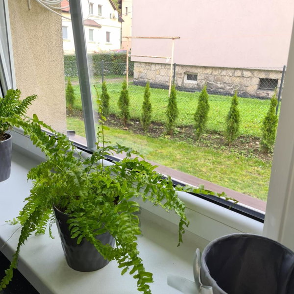 Apartament Przy Rondzie, Kłodzko, Poland