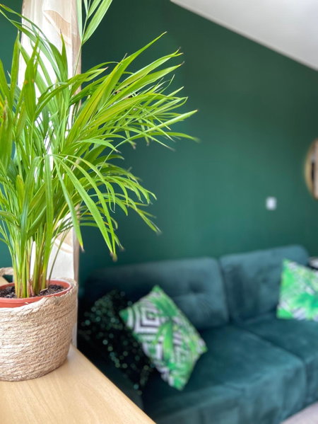 Apartamenty Termalne GREEN Apartment, Uniejow, Poland