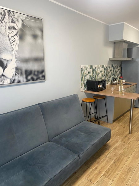 2 Tyskie Apartamenty z ogródkiem, Tychy, Польша