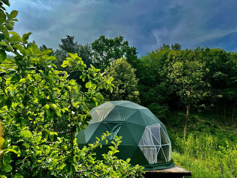 Na Skraju Lasu Domek na Drzewie & Glamping, Kazimierz Dolny, Poland