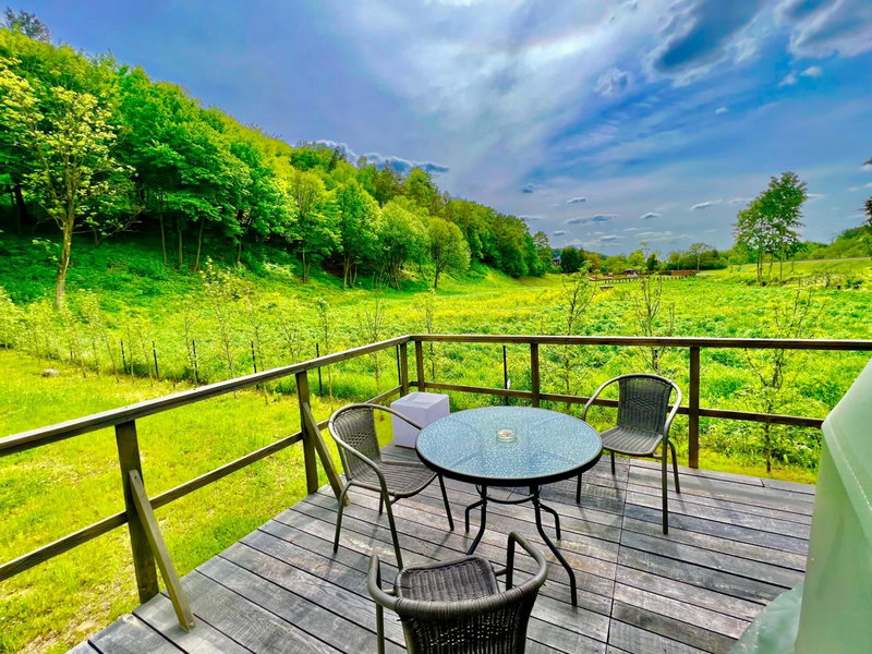 Na Skraju Lasu Domek na Drzewie & Glamping, Kazimierz Dolny, Poland