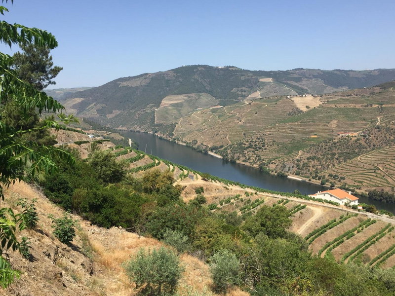 Refugio d'Anita Douro Valley House, Barcos, Portugal