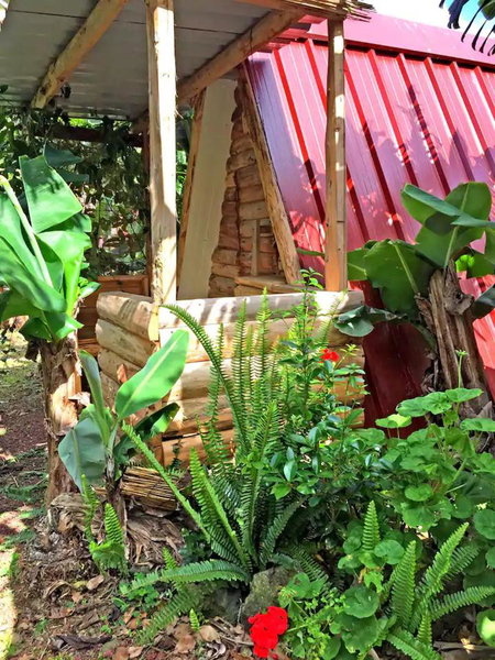 Banana Eco Camp, Angra do Heroísmo, Portugal