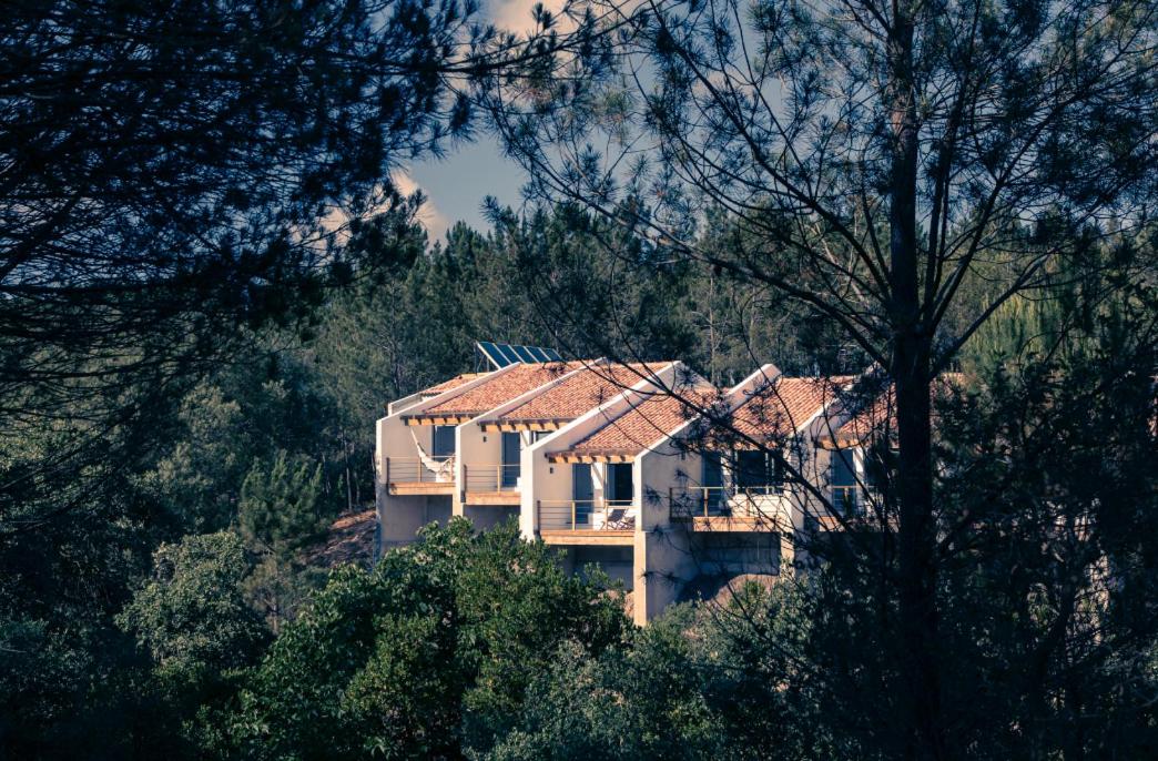 Quinta Camarena, Portugal