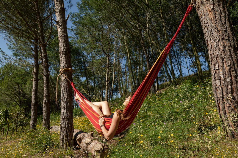 Quinta Camarena, Cercal, Portugal