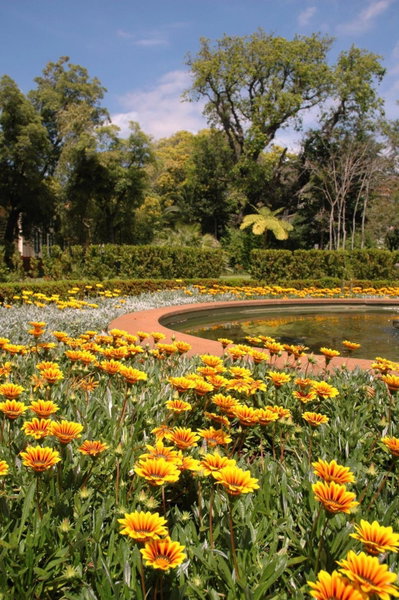 Quinta da Bela Vista, Funchal, Portugal