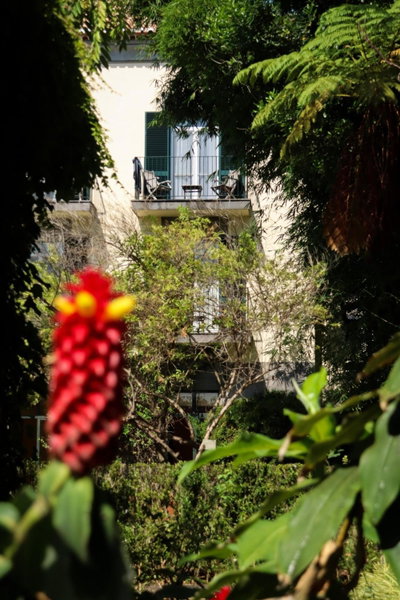 Quinta da Bela Vista, Funchal, Portugal