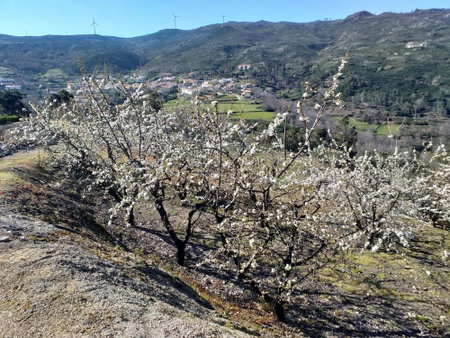 Rivatur - Explorações Turísticas Lda, Lamego, Portugal