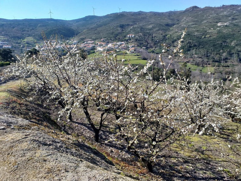 Rivatur - Explorações Turísticas Lda, Lamego, Portugal