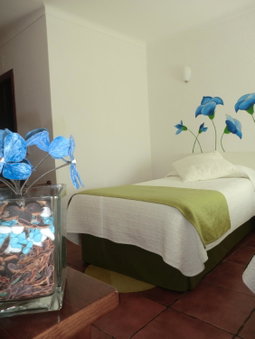 Varandas de Alter Hotel & SPA, Alter do Chão, Portugal