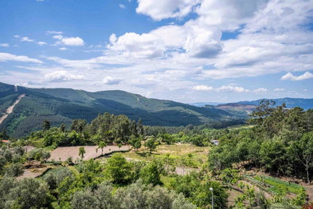 Quinta da Baldieira, Mondim de Basto, Portugal