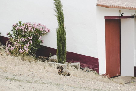 Casas da Faia - Nature Guest House, Arronches, Portugal