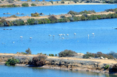 Moinhos das Marés, Fuzeta, Portugal