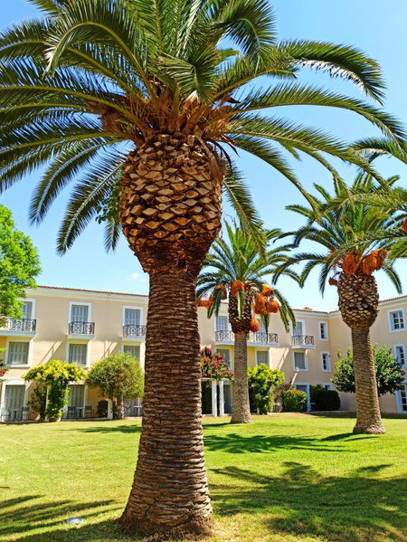 Amalia Hotel Nafplio, Nafplio, Greece