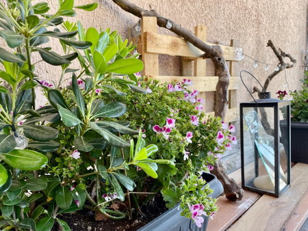 Lykovrisi Guest House, Arachova, Greece