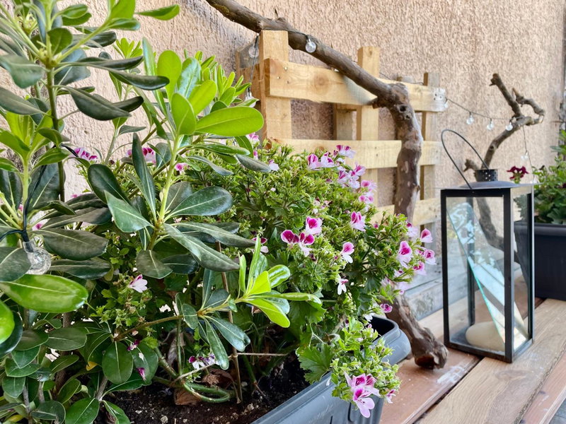 Lykovrisi Guest House, Arachova, Greece