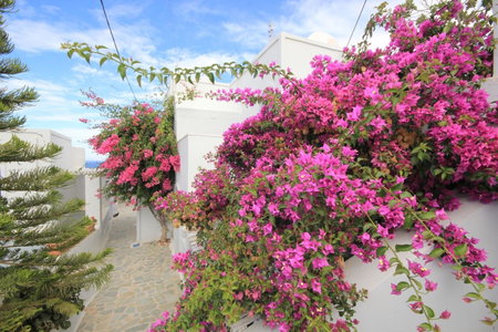 Unique Galini Oia - Adults Only, Oia, Greece