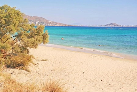 Evdokia, Plaka, Greece