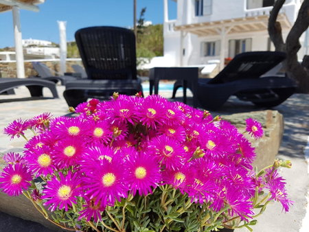 Villa Varnali Small Boutique, Mýkonos City, Greece