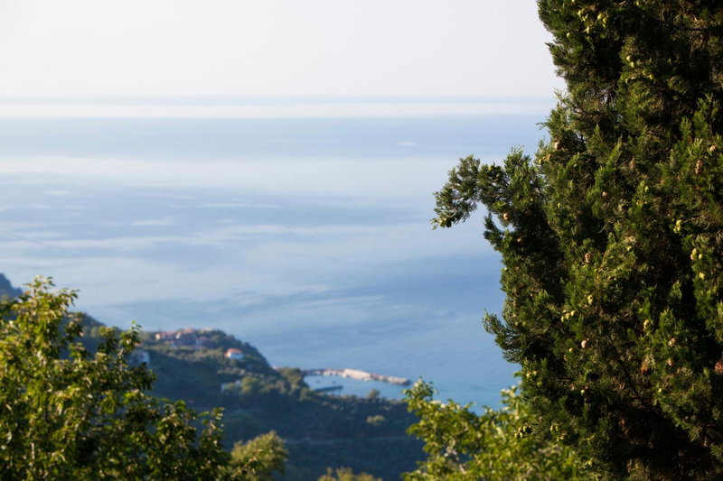 Olga Hotel Mouresi, Mouresi, Greece