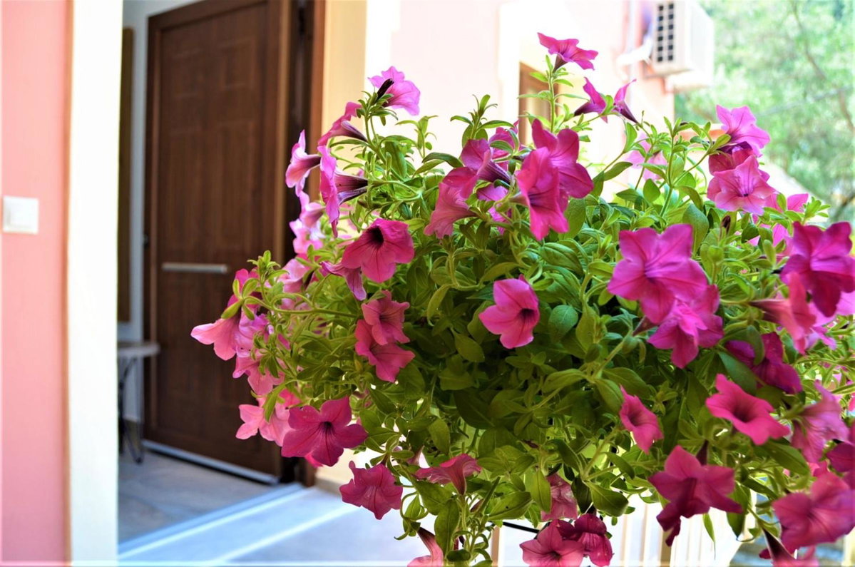 Pagiatakis Suites, Grecia