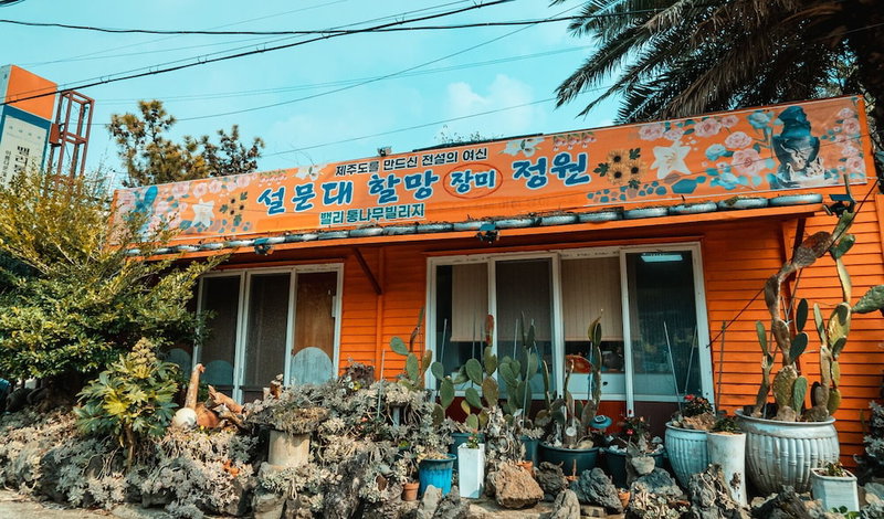 Valley Log Pension, Seogwipo, South Korea