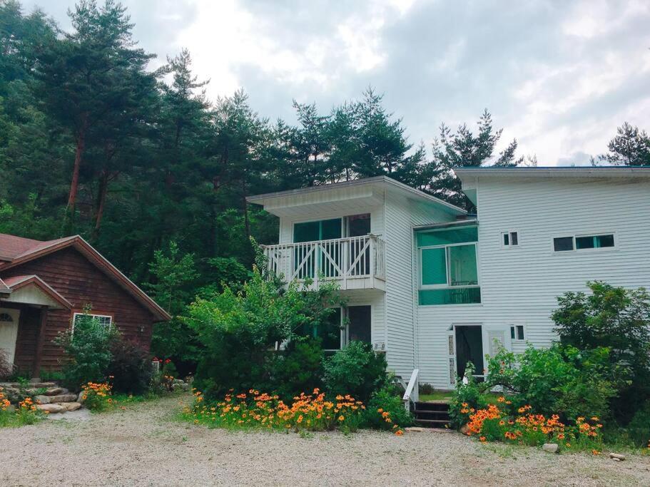 Blue Sky Milky Way Pension, 대한민국