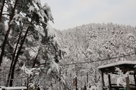 Blue Sky Milky Way Pension, Yangyang, South Korea